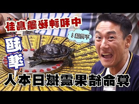 鄭老師(龜鳥伯)命理服務處 評論